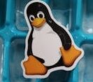 Linux Tux Penguin Mascot Cutout Lying on a Tray with Ice Cubes